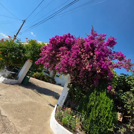 Hébergement de vacances Xhemi's Home&garden Saranda