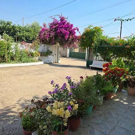 Hébergement de vacances Xhemi's Home&garden *